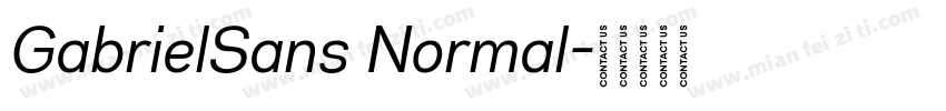 GabrielSans Normal字体转换